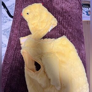 Chicken costume for dog